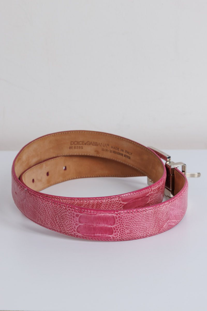 DOLCE & GABBANA Luxurious Pink Ostrich Women Belt