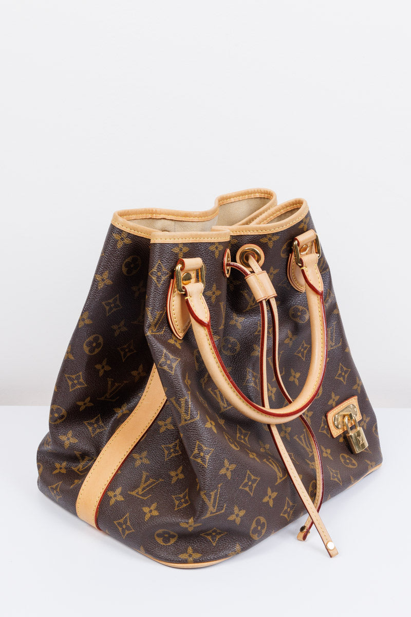 LOUIS VUITTON Monogram Canvas Neo Brown Bucket Bag | Stylish and Practical Accessory
